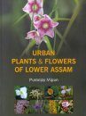 Urban Plants & Flowers of Lower Assam