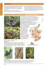 The Larger Moths of Scotland