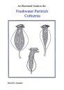 An Illustrated Guide to the Freshwater Peritrich Cothurnia