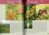 Plantas y Animales de la Sierra de San Javier: Guía Visual [Plants and Animals of the Sierra de San Javier: Visual Guide]