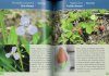 Plantas y Animales de la Sierra de San Javier: Guía Visual [Plants and Animals of the Sierra de San Javier: Visual Guide]