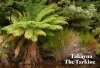 Discovering Natural Tasmania