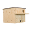 Little Owl Nest Box