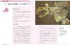 History of the Rise and Fall of Invertebrates [Japanese]