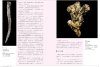 History of the Rise and Fall of Invertebrates [Japanese]