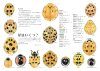 Tentōmushi: Getcho Sensei no Tentoumushikorekushon [Ladybirds: Mr. Getcho's Ladybird Collection]