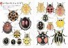 Tentōmushi: Getcho Sensei no Tentoumushikorekushon [Ladybirds: Mr. Getcho's Ladybird Collection]