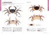 Fresh and Brackish Water Shrimps and Crabs of Japan [Japanese]