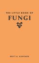 The Little Book of Fungi