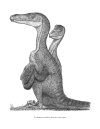 The Princeton Field Guide to Predatory Dinosaurs