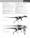 The Princeton Field Guide to Predatory Dinosaurs