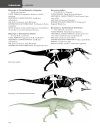 The Princeton Field Guide to Predatory Dinosaurs