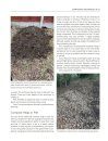 A Gardener's Guide to Composting Techniques