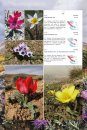 Illustrated Flora of Alborz Mountain Range Iran