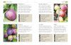 RHS Grow Fruit & Veg Guide