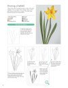 A Step-by-Step Guide to Botanical Drawing & Painting