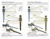 Dragonflies of North America