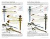 Dragonflies of North America