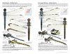 Dragonflies of North America