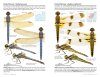 Dragonflies of North America