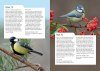 RSPB Birding Year