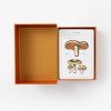 New York Botanical Garden Mushroom Identification Flashcards