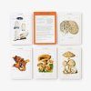 New York Botanical Garden Mushroom Identification Flashcards