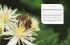Beekeeping for Gardeners