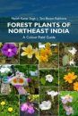Forest Plants of Northeast India