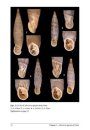 European Door Snails (Clausiliidae), Volume 2