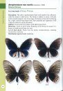 A Guide to Butterflies of Borneo
