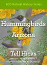 Hummingbirds of Arizona