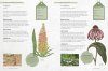 The Kew Gardener's Guide to Growing Perennials
