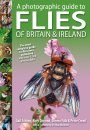 A Photographic Guide to Flies of Britain & Ireland