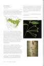 Smithsonian Trees of North America