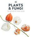 Plants & Fungi