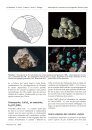Ferrantia, Volume 81: Minéralogie de la Commune de Visé (Argenteau, Richelle et Visé), Province de Liège, Belgique [Mineralogy of the Municipality of Visé (Argenteau, Richelle and Visé), Province of Liège, Belgium]