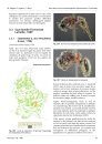 Ferrantia, Volume 84: Atlas des Fourmis Luxembourgeoises (Hymenoptera, Formicidae) [Atlas of Luxembourg Ants]