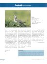 Österreichischer Brutvogelatlas 2013-2018 [Austrian Breeding Bird Atlas 2013-2018]