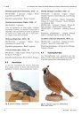 Ferrantia, Volume 89: Les Collections Ornithologiques du Musée national d’Histoire Naturelle de Luxembourg [The Ornithological Collections of the National Museum of Natural History of Luxembourg]
