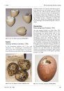 Ferrantia, Volume 89: Les Collections Ornithologiques du Musée national d’Histoire Naturelle de Luxembourg [The Ornithological Collections of the National Museum of Natural History of Luxembourg]