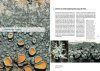 Flechten der Schweiz: Vielfalt, Biologie, Naturschutz, mit 52 Exkursionen [Lichens of Switzerland: Diversity, Biology, Conservation, with 52 Excursions]