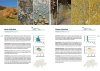 Flechten der Schweiz: Vielfalt, Biologie, Naturschutz, mit 52 Exkursionen [Lichens of Switzerland: Diversity, Biology, Conservation, with 52 Excursions]