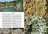 Flechten der Schweiz: Vielfalt, Biologie, Naturschutz, mit 52 Exkursionen [Lichens of Switzerland: Diversity, Biology, Conservation, with 52 Excursions]