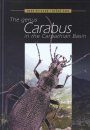 The Genus Carabus in the Carpathian Basin (Coleoptera, Carabidae)
