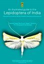 An Illustrated Guide to the Lepidoptera of India