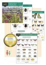 Wildlife Gardens Pollinator Pack: Bee Mix