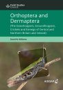 Orthoptera and Dermaptera