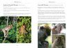 A Naturalist's Guide to the Mammals of Southeast Asia