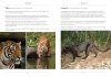 A Naturalist's Guide to the Mammals of Southeast Asia
